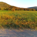 Amplio Terreno en venta en La Libertad. Cerca de Juan Uvera y La Joya en Atlixco